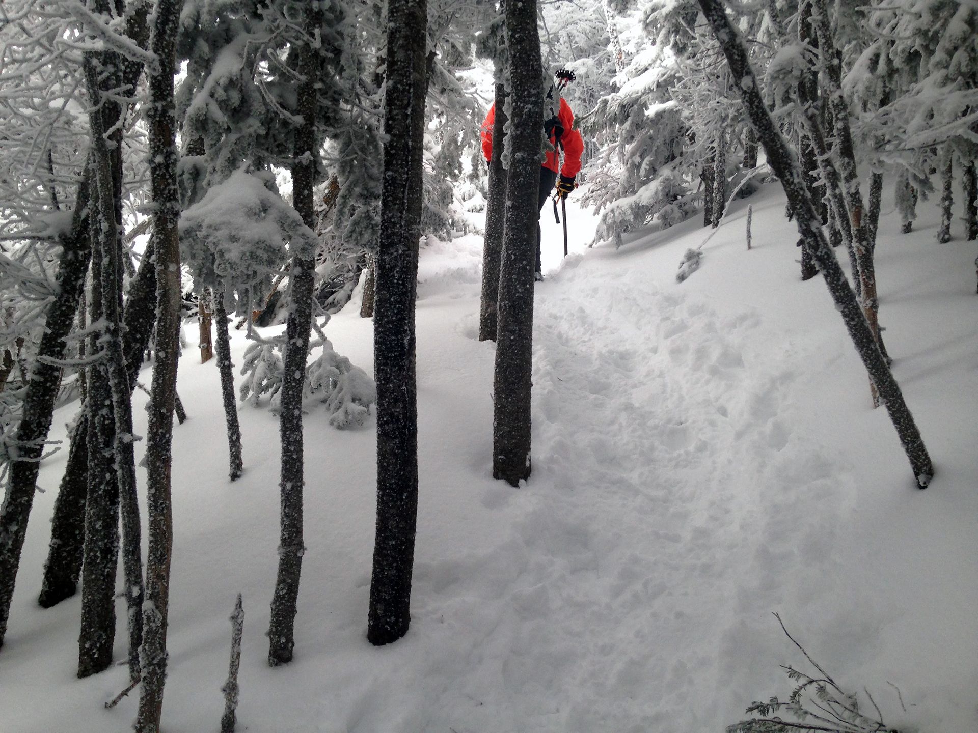 Hiking photo from 2017-01-28